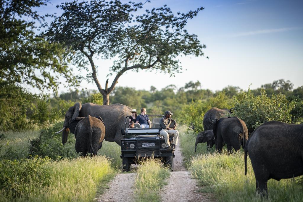 Krüger Nationalpark vs. private Game Reserves