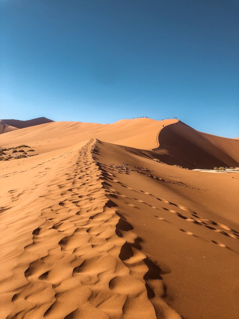 Explore the captivating beauty of Namibia's Namib Desert sand dunes under a clear blue sky.