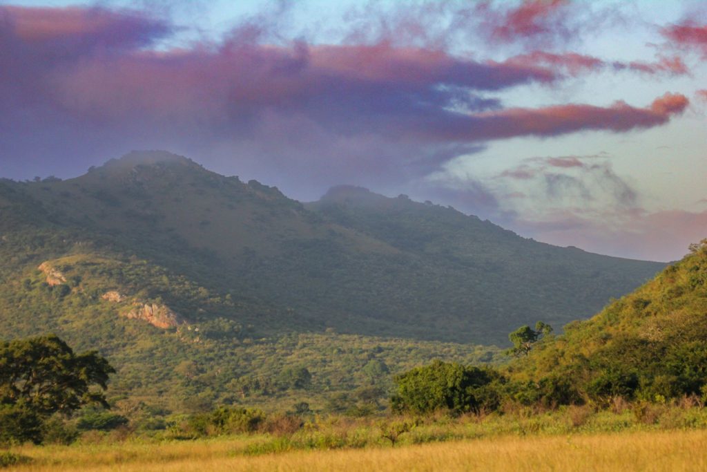 hluhluwe imfolozi park