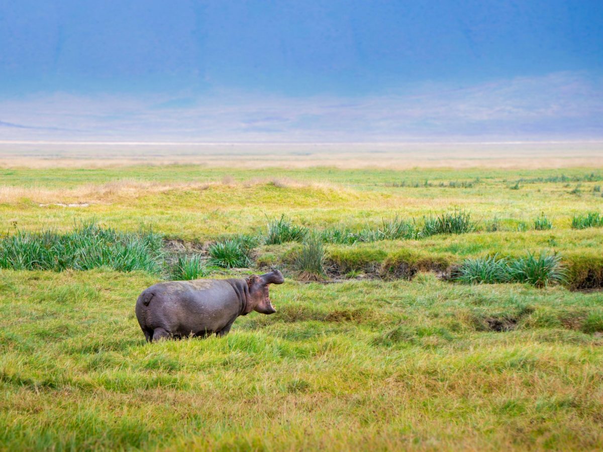 Der wundervolle iSimangaliso Wetland Park