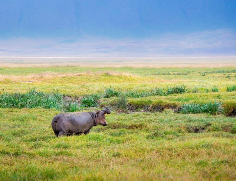 Der wundervolle iSimangaliso Wetland Park
