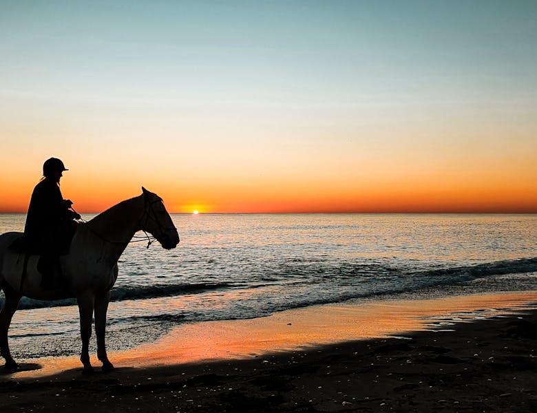 Reiten in Südafrika – Die 6 besten Beach Horse Trails