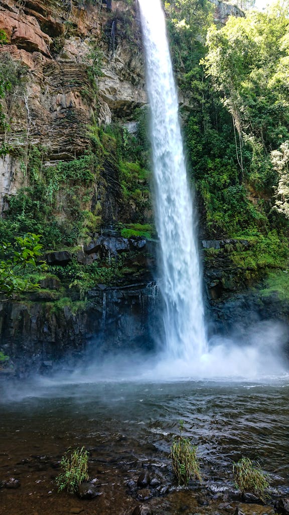 A stunning waterfall plunging into a serene pool surrounded by vibrant greenery, capturing nature's splendor.