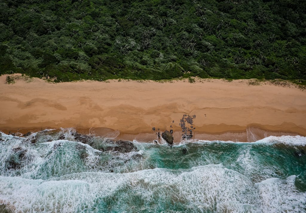 Aerial shot of Dolphin Coast's scenic beach with lush greenery and ocean waves.