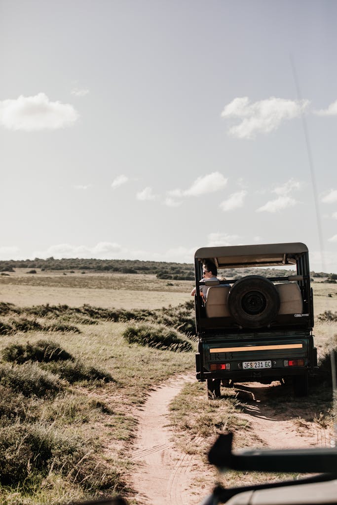 Explore the vast plains of South Africa on a safari adventure under clear skies.
