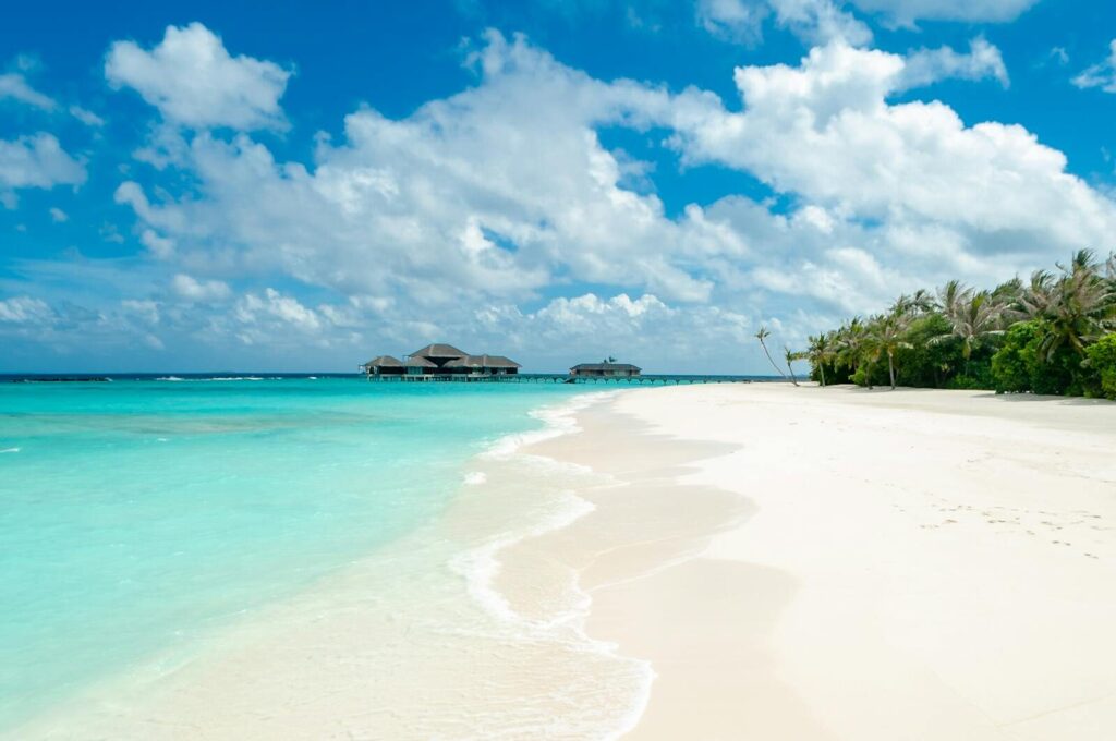 Stunning tropical beach with turquoise water and palm trees under a bright blue sky.
