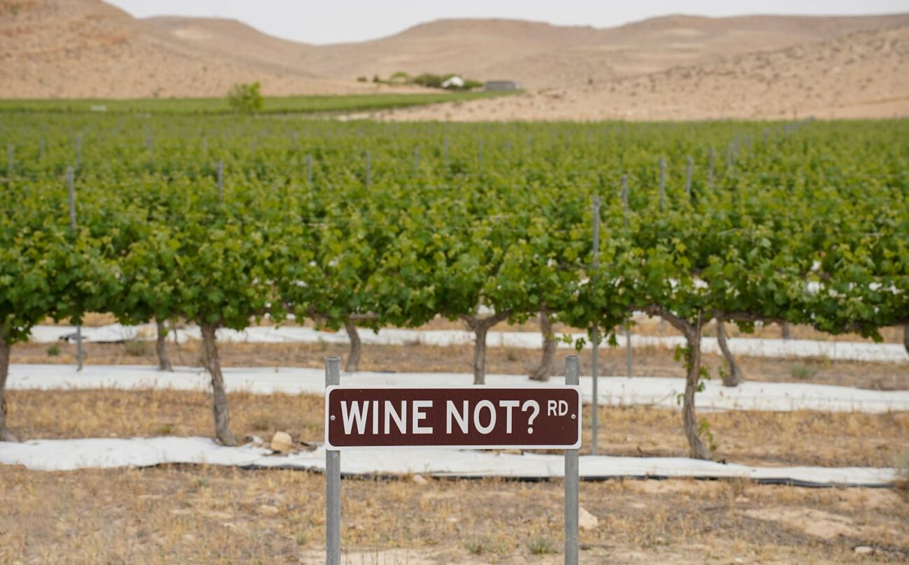 A lush vineyard in South District, Israel with a playful road sign saying 'WINE NOT? RD.'