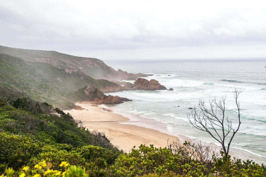 Majestic coastal landscape with waves and lush vegetation in South Africa.
