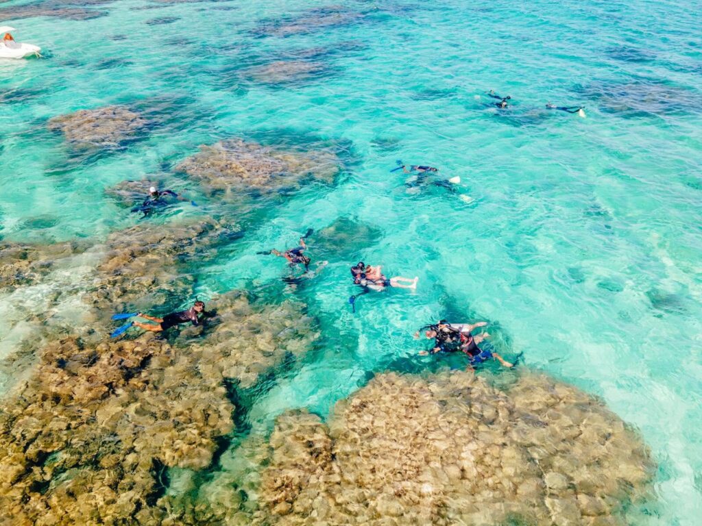 Snorkelers exploring vibrant tide pools in crystal-clear waters, aerial view.