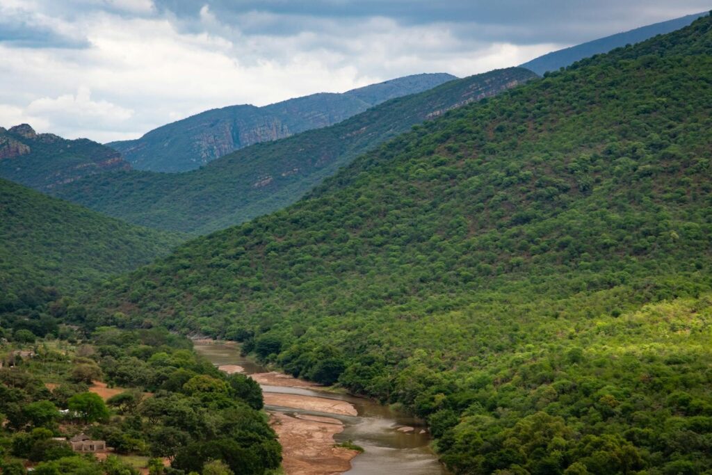 Scenic aerial view of a lush valley and winding river amidst green mountains.